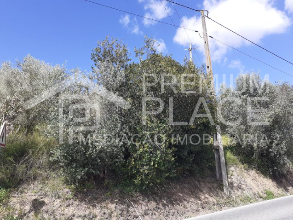 Captura de ecrã 2025-10-09 123443_cleanup