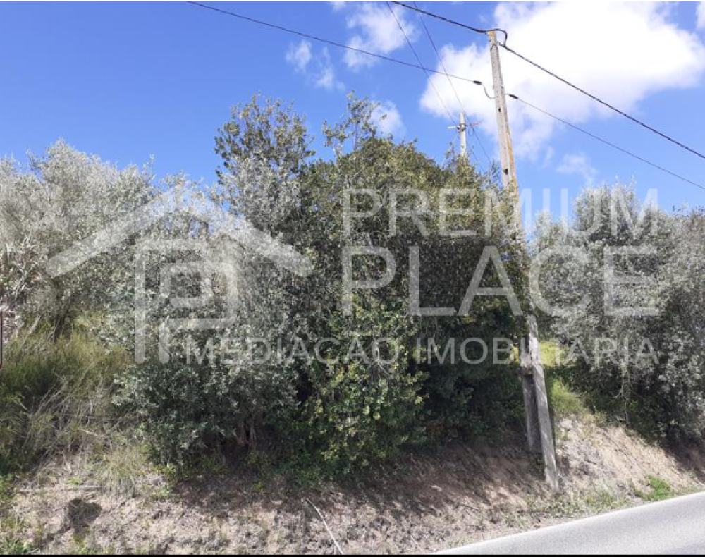 Captura de ecrã 2025-10-09 123443_cleanup