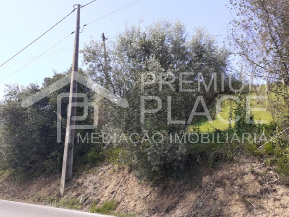 Captura de ecrã 2025-10-09 123449_cleanup