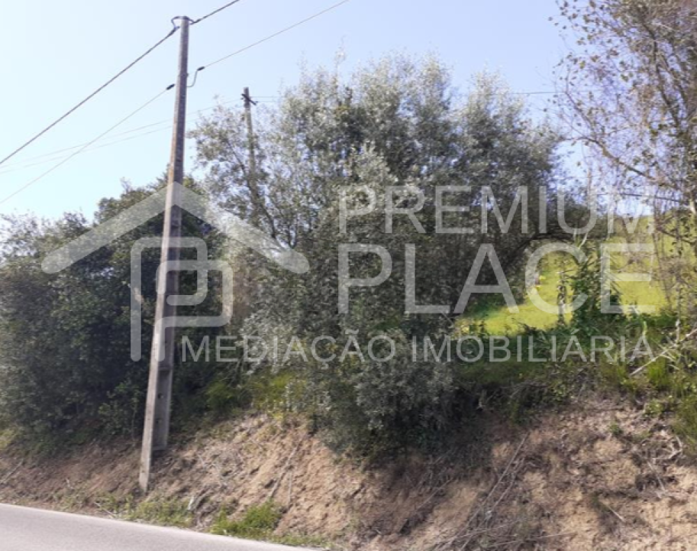 Captura de ecrã 2025-10-09 123449_cleanup