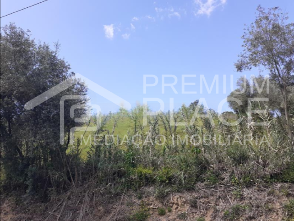 Captura de ecrã 2025-10-09 123458_cleanup