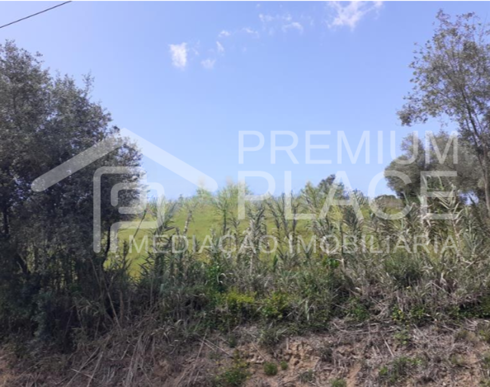 Captura de ecrã 2025-10-09 123458_cleanup