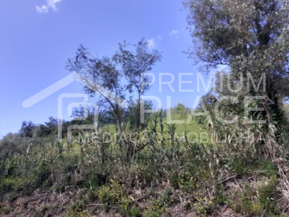 Captura de ecrã 2025-10-09 123504_cleanup