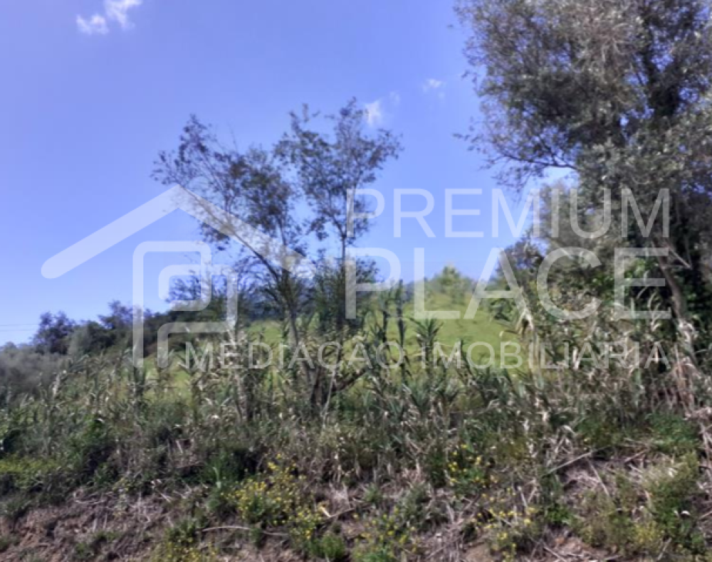 Captura de ecrã 2025-10-09 123504_cleanup