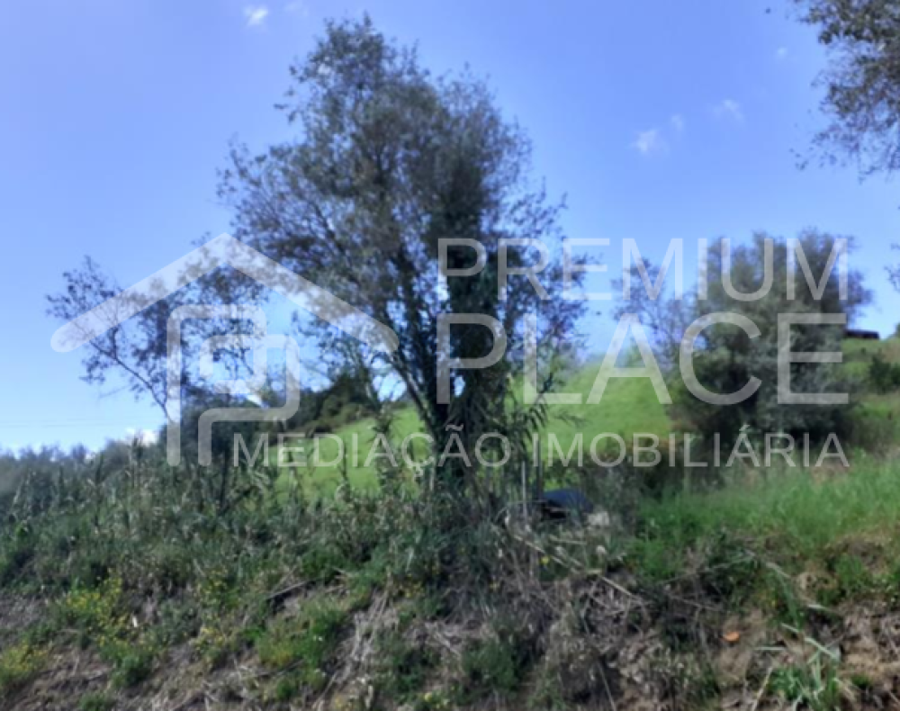 Captura de ecrã 2025-10-09 123515_cleanup