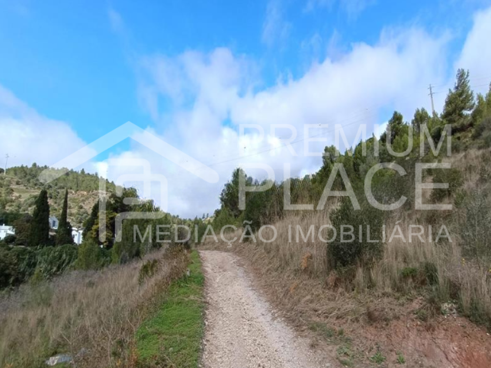 Captura de ecrã 2025-10-09 123618_cleanup