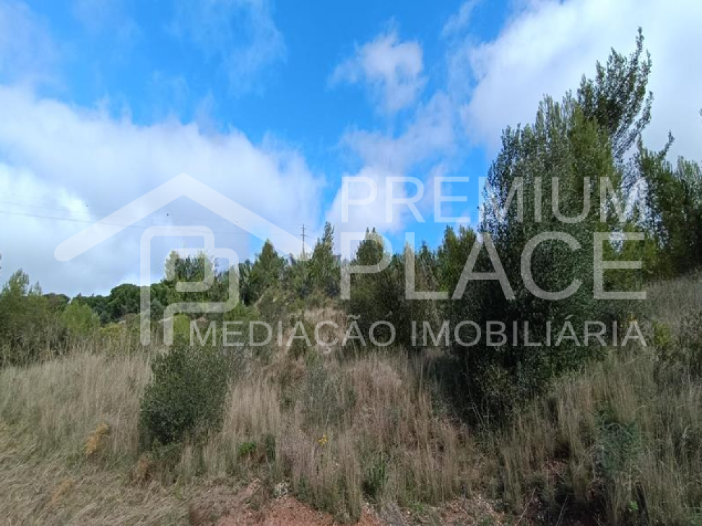 Captura de ecrã 2025-10-09 123625_cleanup