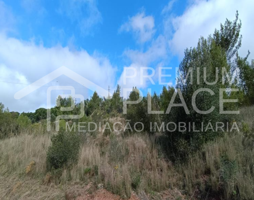 Captura de ecrã 2025-10-09 123625_cleanup