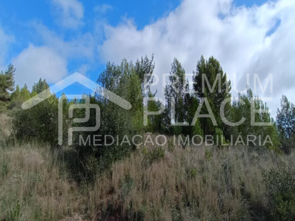 Captura de ecrã 2025-10-09 123634_cleanup