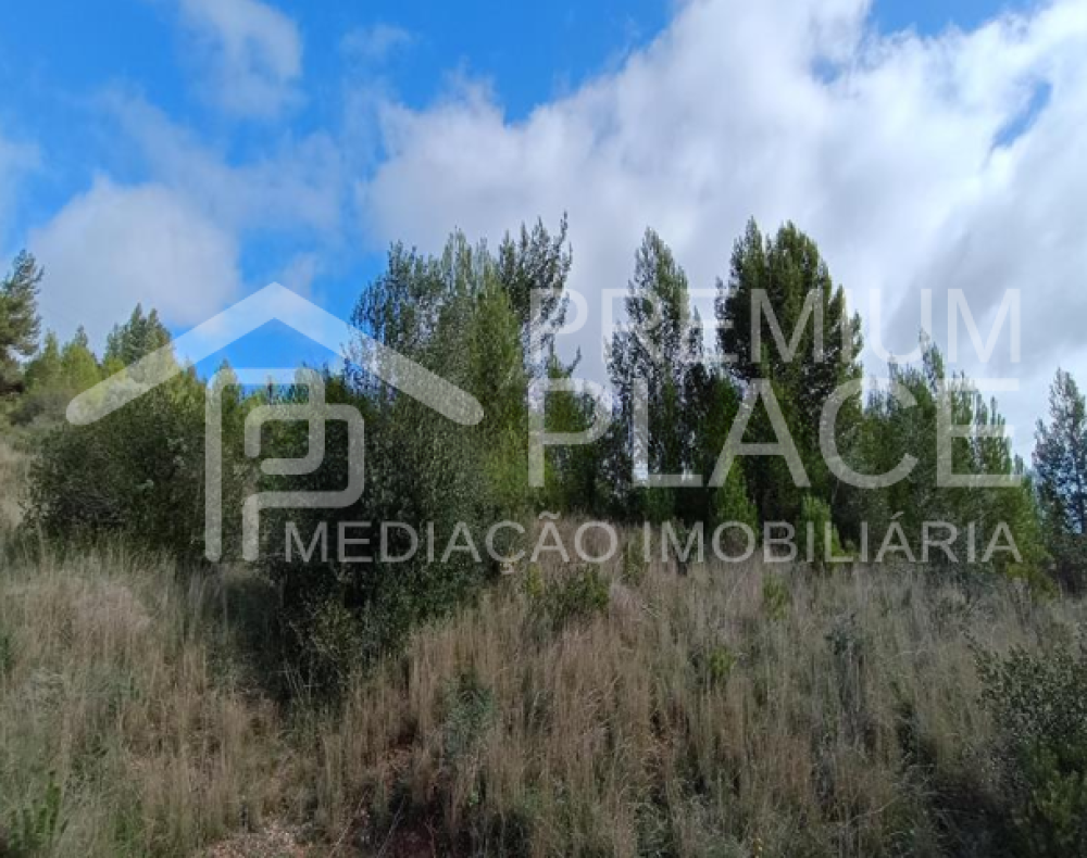 Captura de ecrã 2025-10-09 123634_cleanup