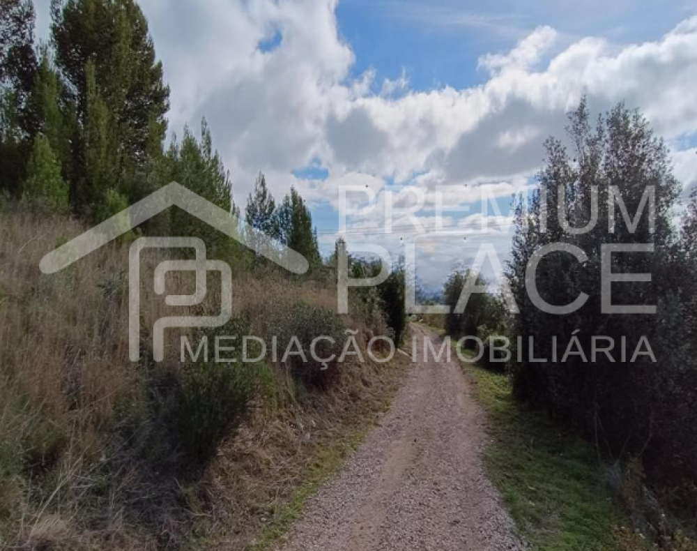 Captura de ecrã 2025-10-09 123640_cleanup