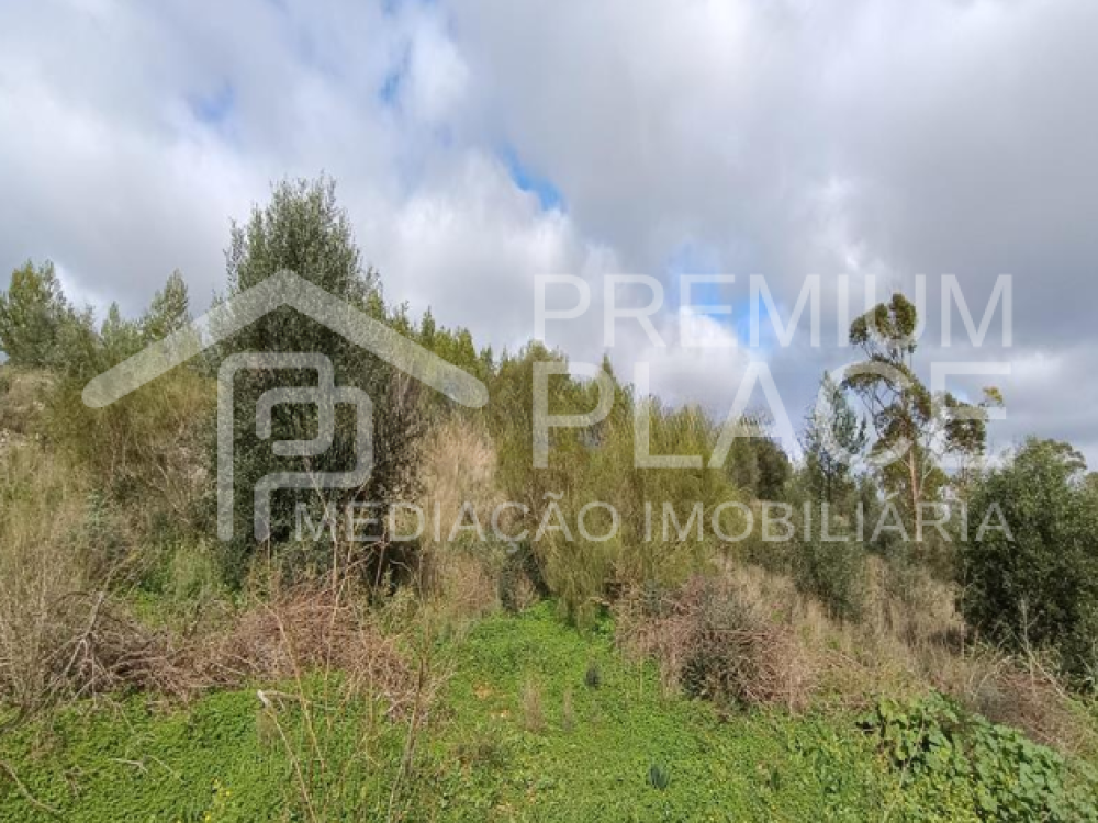 Captura de ecrã 2025-10-09 123648_cleanup