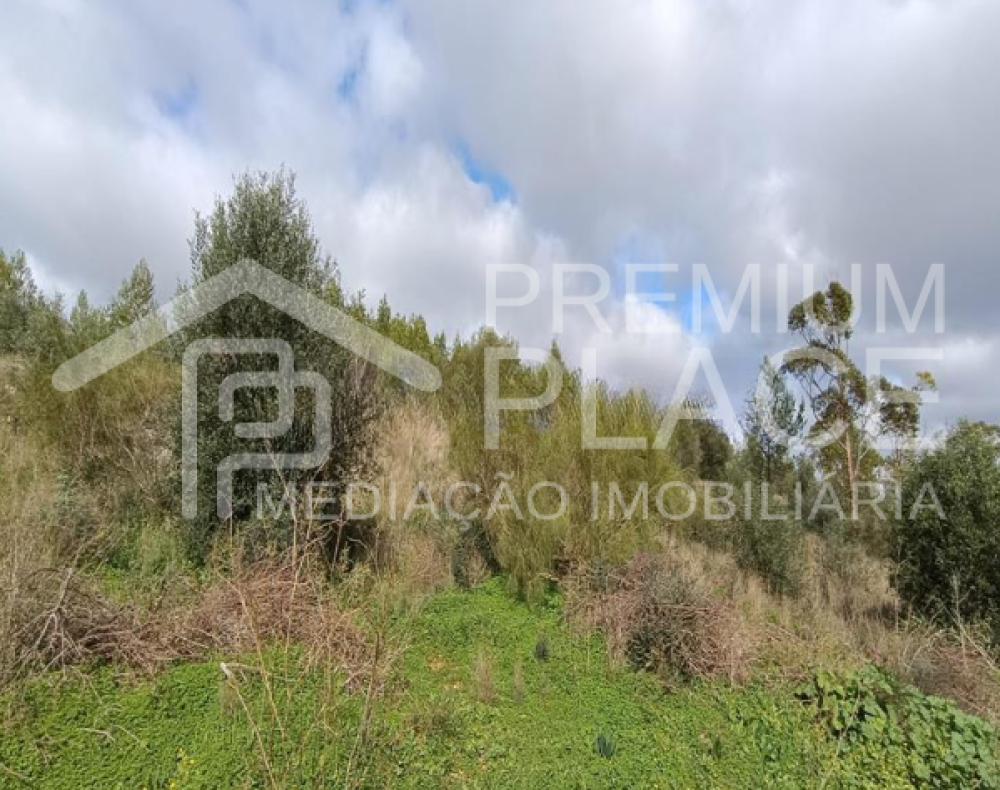 Captura de ecrã 2025-10-09 123648_cleanup