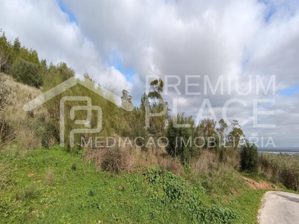 Captura de ecrã 2025-10-09 123655_cleanup