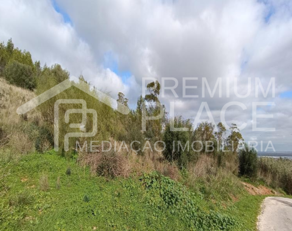 Captura de ecrã 2025-10-09 123655_cleanup