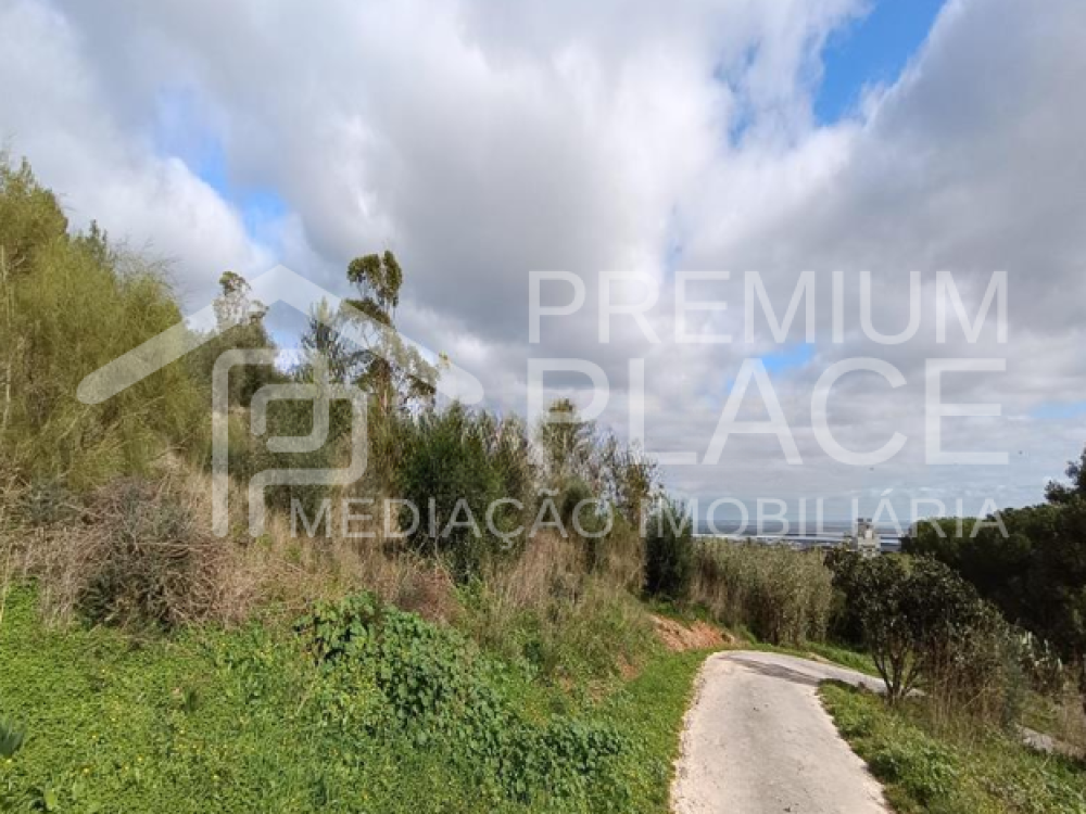 Captura de ecrã 2025-10-09 123704_cleanup