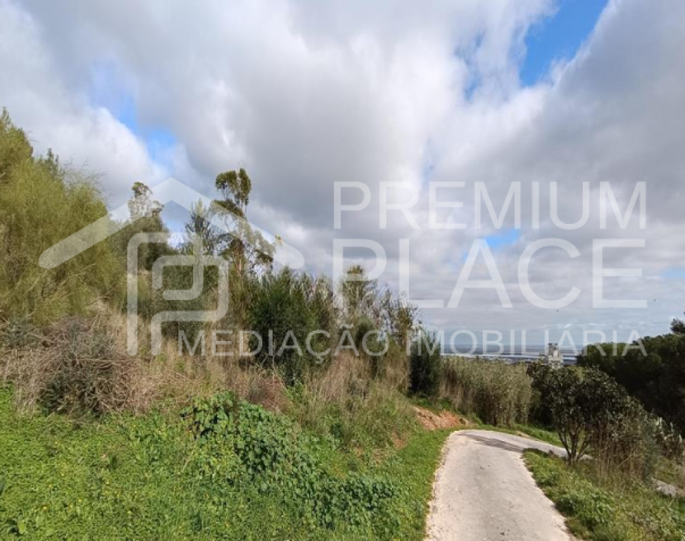 Captura de ecrã 2025-10-09 123704_cleanup