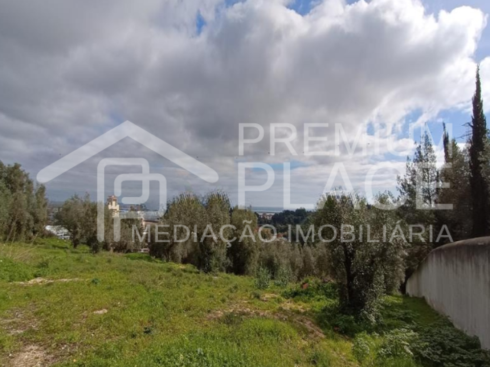 Captura de ecrã 2025-10-09 123721_cleanup