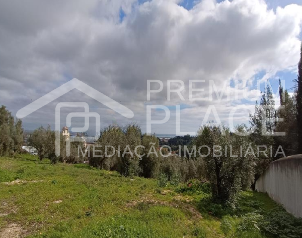 Captura de ecrã 2025-10-09 123721_cleanup