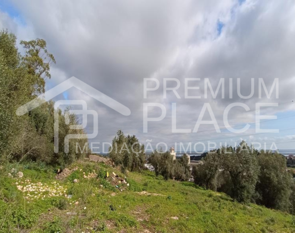 Captura de ecrã 2025-10-09 123729_cleanup