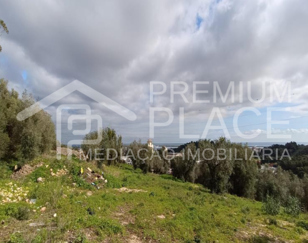 Captura de ecrã 2025-10-09 123736_cleanup