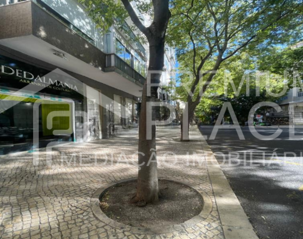 Captura de ecrã 2025-10-09 154252_cleanup