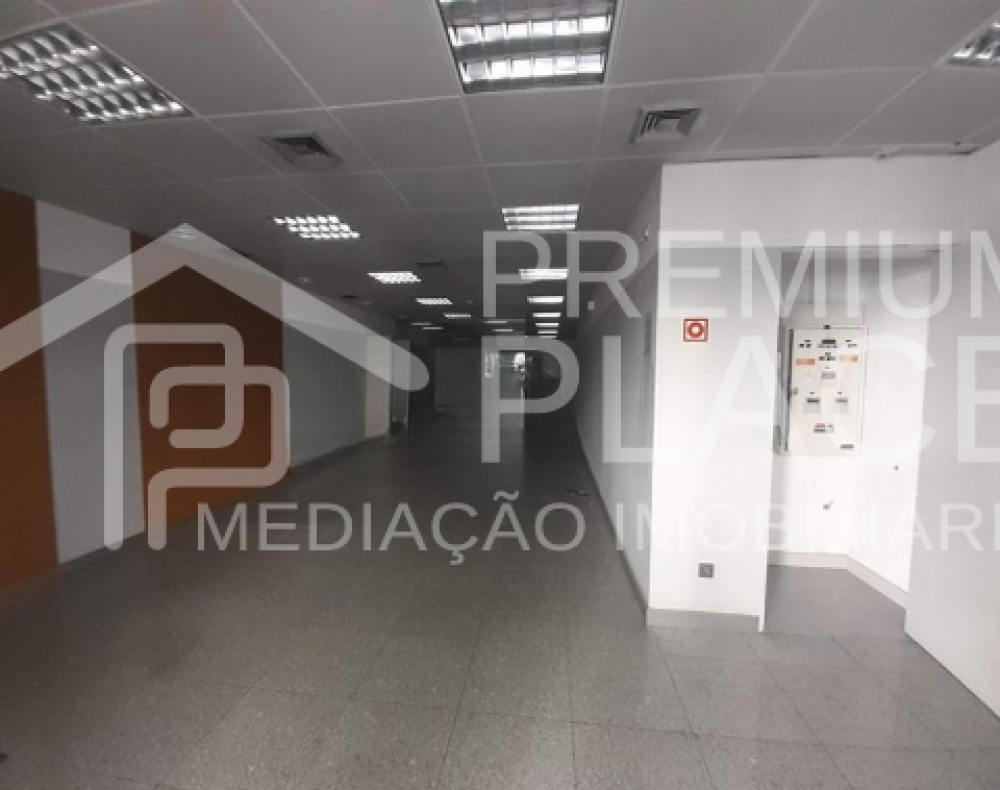 Captura de ecrã 2025-10-09 170934_cleanup