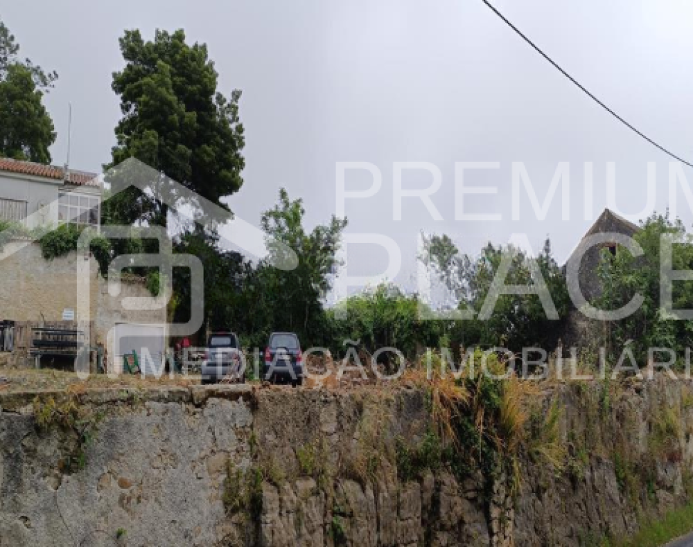 Captura de ecrã 2025-10-09 172755_cleanup