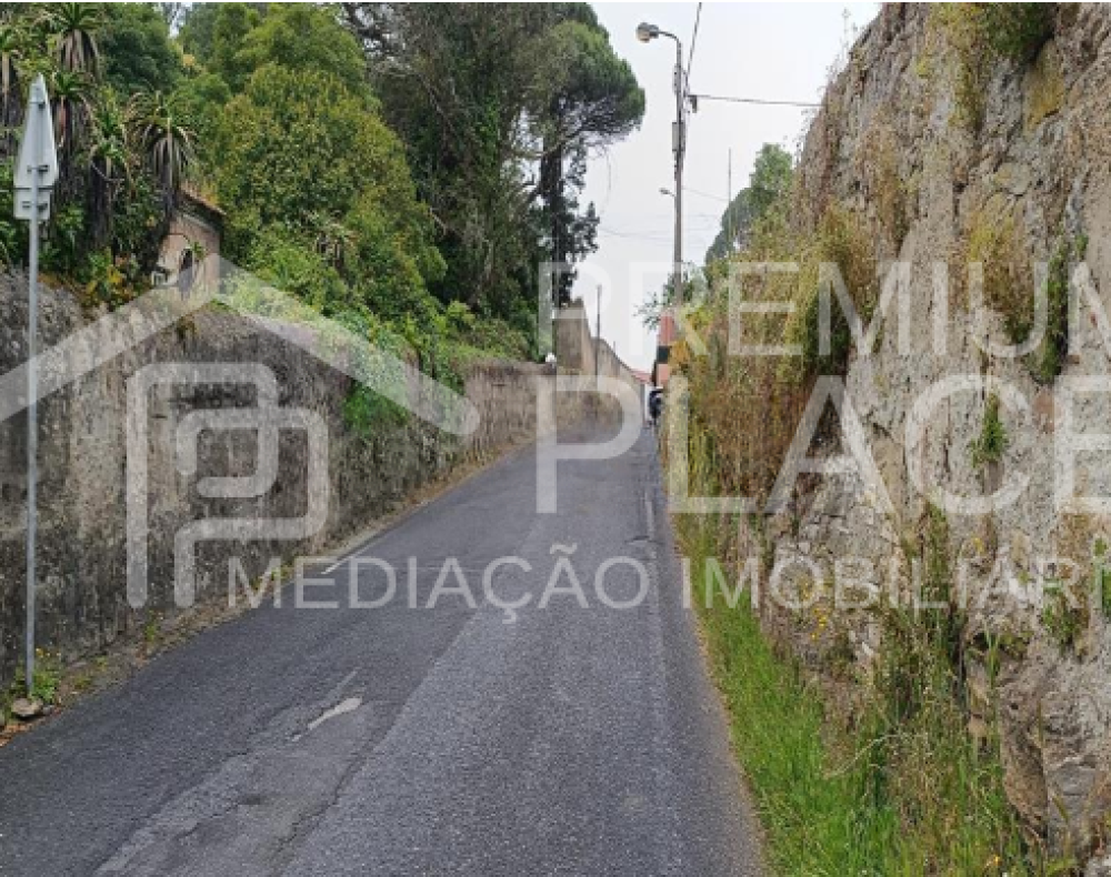 Captura de ecrã 2025-10-09 172818_cleanup (1)