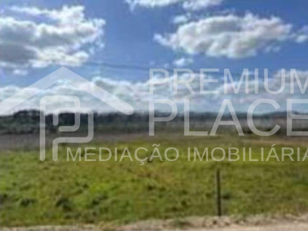 Captura de ecrã 2025-10-09 173210_cleanup