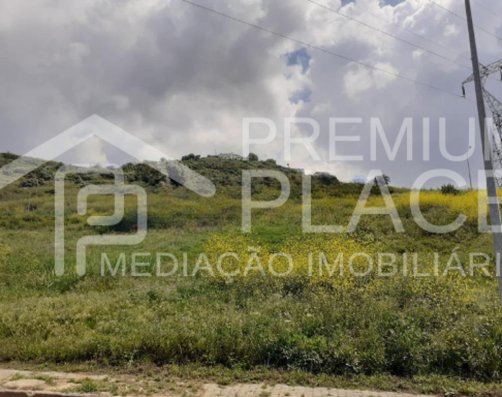 Captura de ecrã 2025-10-09 175051_cleanup