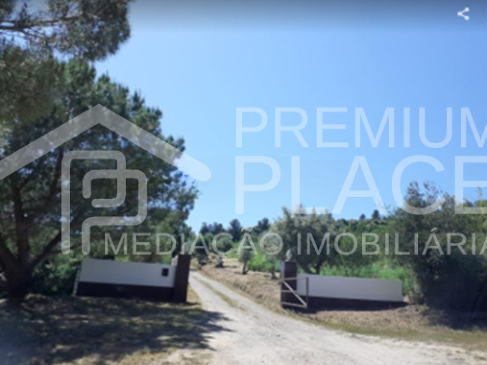 Captura de ecrã 2025-10-09 175221_cleanup