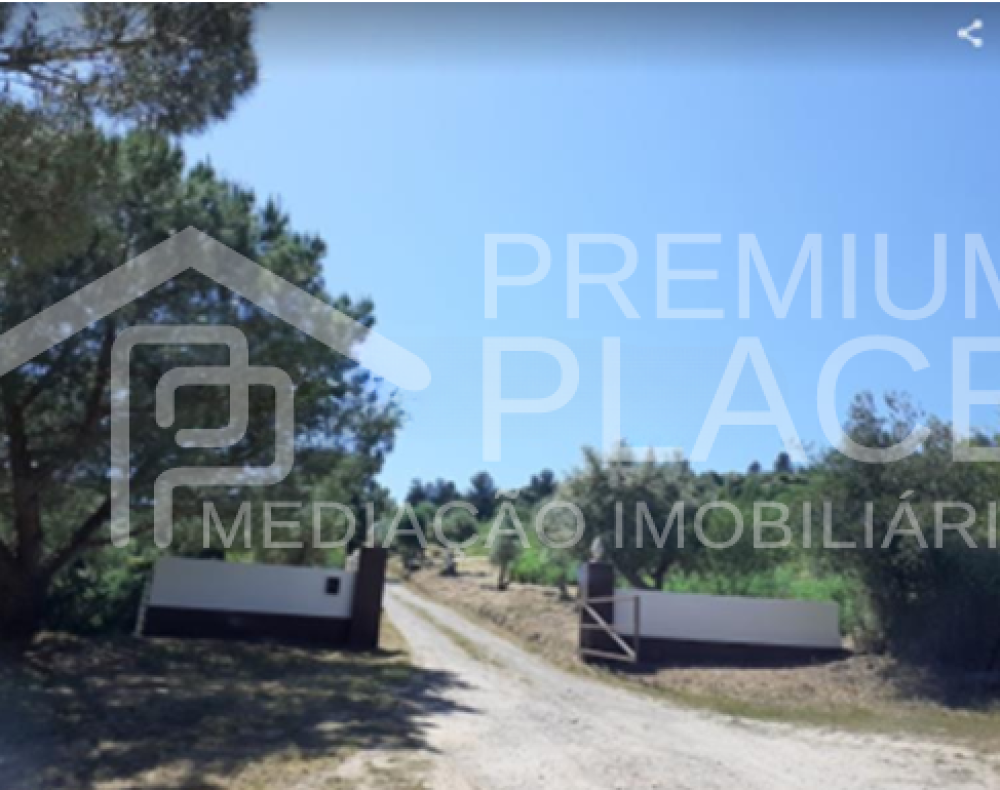 Captura de ecrã 2025-10-09 175221_cleanup