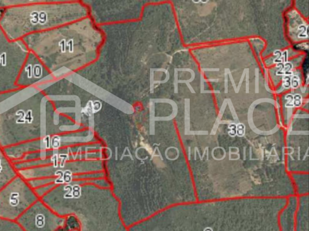 Captura de ecrã 2025-10-09 175246_cleanup