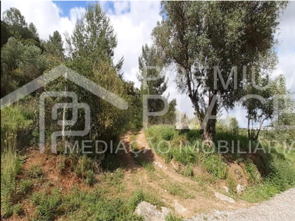 Captura de ecrã 2025-10-09 175255_cleanup