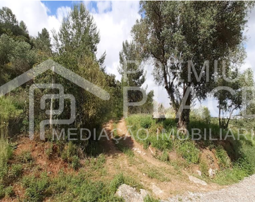 Captura de ecrã 2025-10-09 175255_cleanup