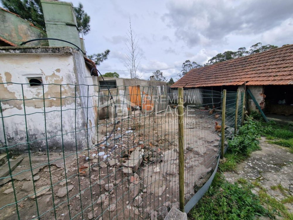 Imagem WhatsApp 2025-04-24 às 11.49.30_75e0765c