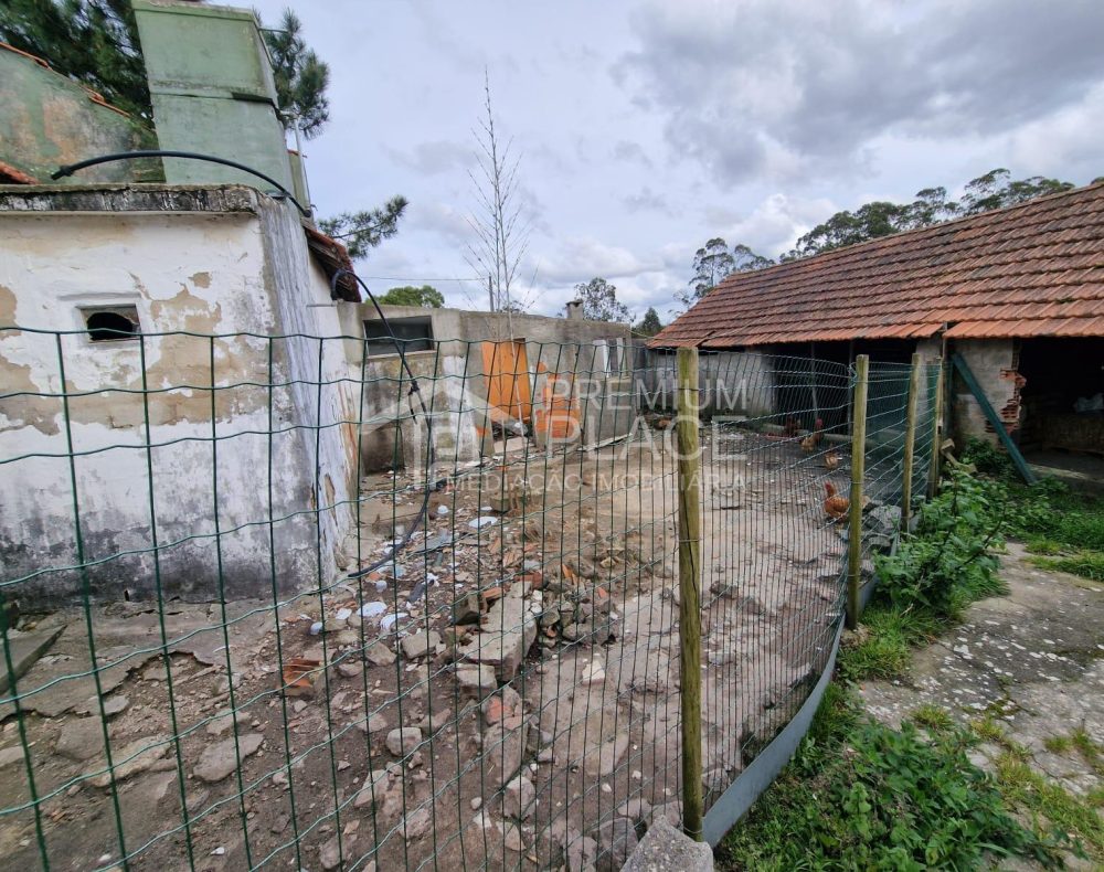 Imagem WhatsApp 2025-04-24 às 11.49.30_75e0765c