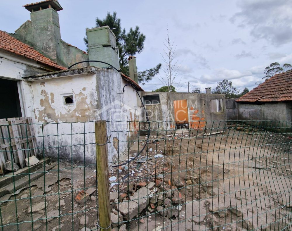 Imagem WhatsApp 2025-04-24 às 11.49.31_04b7d2ad