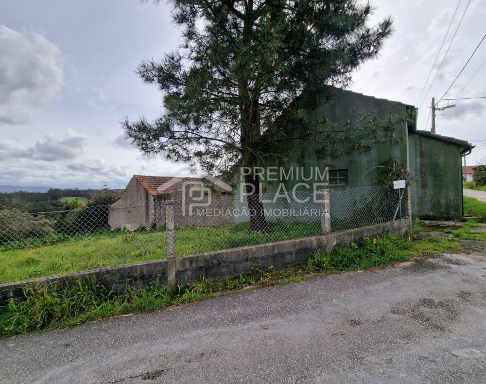 Imagem WhatsApp 2025-04-24 às 11.49.32_7cc2543f