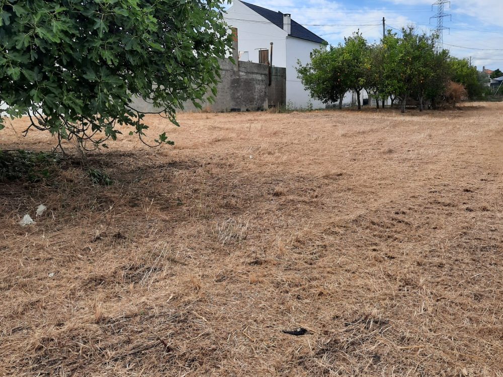 PHOTO-2025-04-02-19-40-42