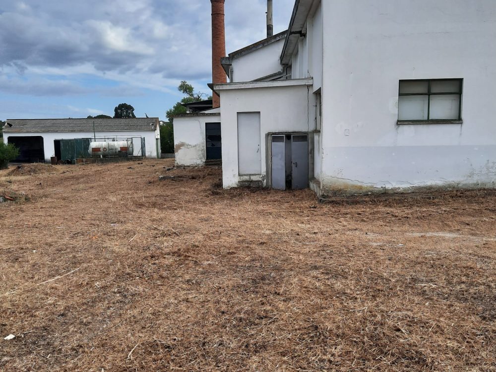 PHOTO-2025-04-02-19-40-43_1