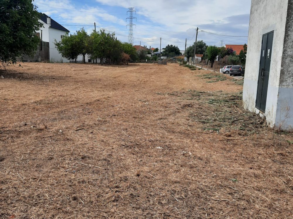 PHOTO-2025-04-02-19-40-44