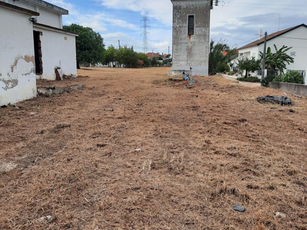 PHOTO-2025-04-02-19-40-45