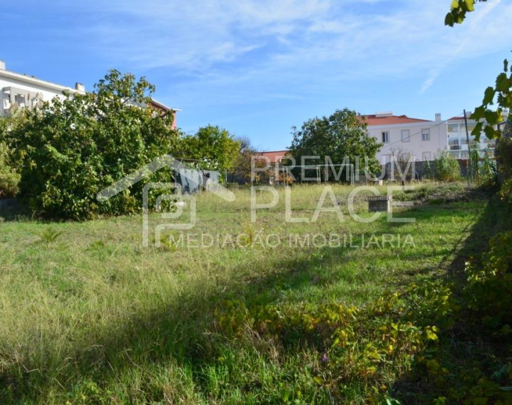 ????????????????????????????????????