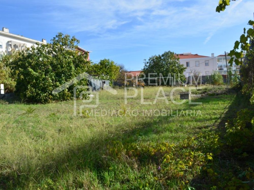 ????????????????????????????????????