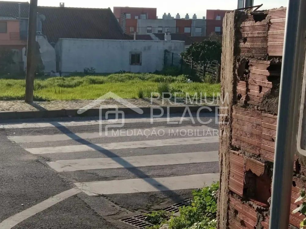 WhatsApp-Image-2024-02-19-at-10.03.23-4