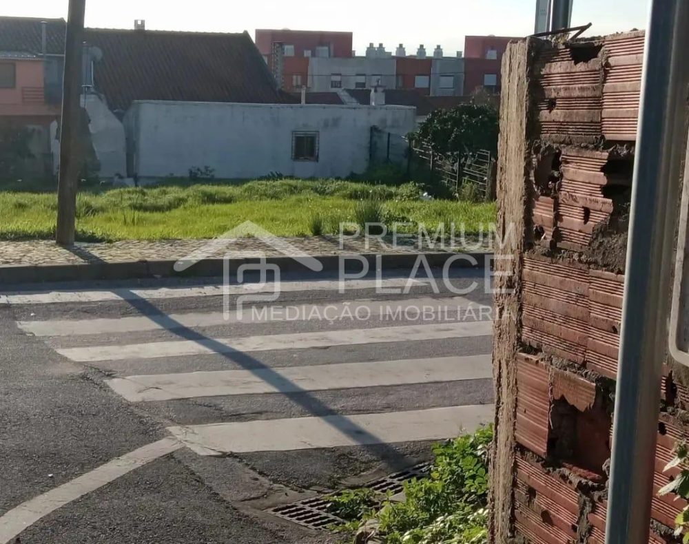 WhatsApp-Image-2024-02-19-at-10.03.23-4