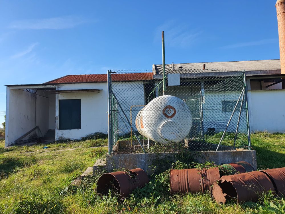 WhatsApp Image 2025-04-08 at 16.14.52