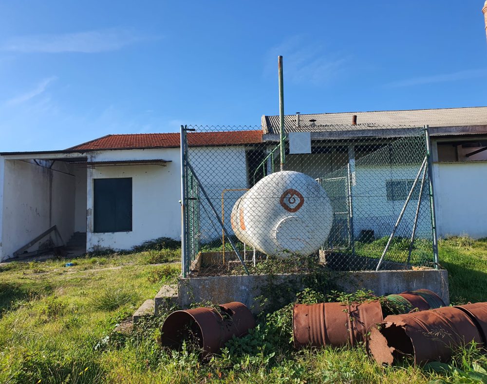 WhatsApp Image 2025-04-08 at 16.14.52